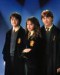 Harry, Ron , Hermiona